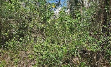 Terreno en Venta, excelente opción, 20 Has, Temozon, Yucatán.