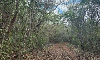 Terreno en Venta, excelente opción, 20 Has, Temozon, Yucatán.