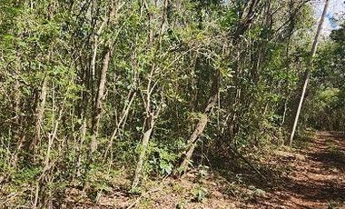 Terreno en Venta, excelente opción, 20 Has, Temozon, Yucatán.