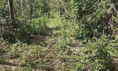 Terreno en Venta, excelente opción, 20 Has, Temozon, Yucatán.