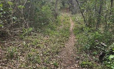 Terreno en Venta, excelente opción, 20 Has, Temozon, Yucatán.