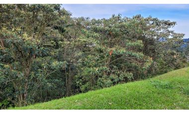 Venta de Lote En Unidad Cerrada Juanito Laguna El Retiro