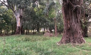 Venta de Campo Agricola  Rural en Marcos Paz Limite Gral Rodriguez