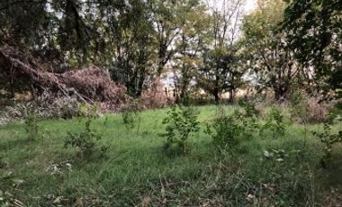 Venta de Campo Agricola  Rural en Marcos Paz Limite Gral Rodriguez