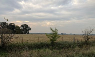 Venta de Campo Agricola  Rural en Marcos Paz Limite Gral Rodriguez