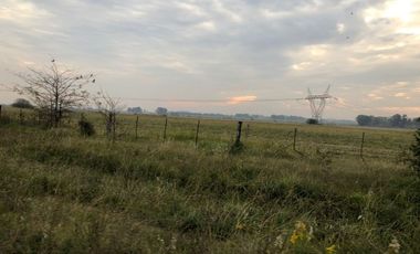 Venta de Campo Agricola  Rural en Marcos Paz Limite Gral Rodriguez
