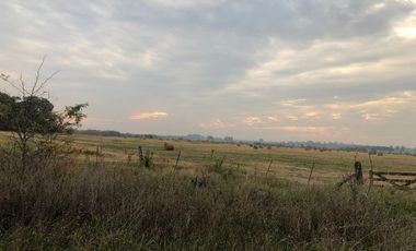 Venta de Campo Agricola  Rural en Marcos Paz Limite Gral Rodriguez