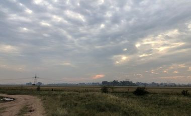 Venta de Campo Agricola  Rural en Marcos Paz Limite Gral Rodriguez