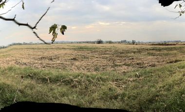 Venta de Campo Agricola  Rural en Marcos Paz Limite Gral Rodriguez