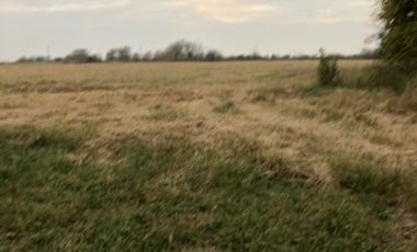 Venta de Campo Agricola  Rural en Marcos Paz Limite Gral Rodriguez