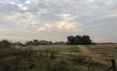 Venta de Campo Agricola  Rural en Marcos Paz Limite Gral Rodriguez