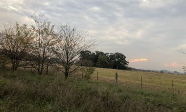 Venta de Campo Agricola  Rural en Marcos Paz Limite Gral Rodriguez
