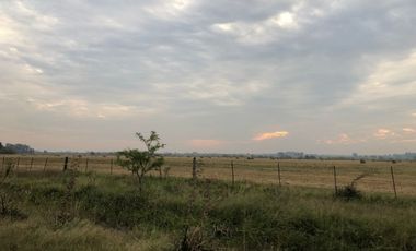 Venta de Campo Agricola  Rural en Marcos Paz Limite Gral Rodriguez