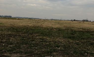 Venta de Campo Agricola  Rural en Marcos Paz Limite Gral Rodriguez