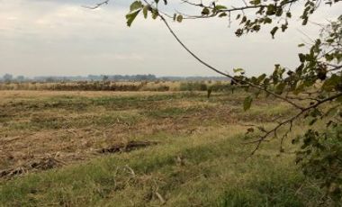 Venta de Campo Agricola  Rural en Marcos Paz Limite Gral Rodriguez