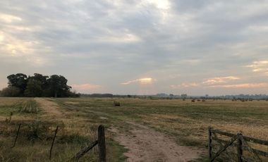 Venta de Campo Agricola  Rural en Marcos Paz Limite Gral Rodriguez