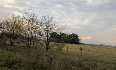 Venta de Campo Agricola  Rural en Marcos Paz Limite Gral Rodriguez