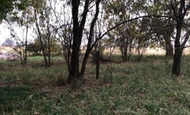 Venta de Campo Agricola  Rural en Marcos Paz Limite Gral Rodriguez