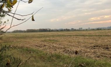Venta de Campo Agricola  Rural en Marcos Paz Limite Gral Rodriguez