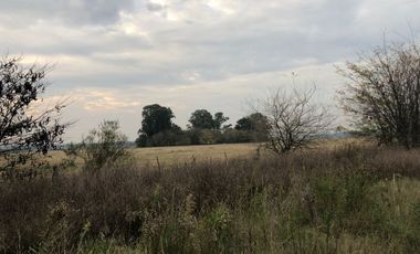 Venta de Campo Agricola  Rural en Marcos Paz Limite Gral Rodriguez