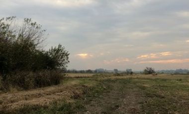 Venta de Campo Agricola  Rural en Marcos Paz Limite Gral Rodriguez