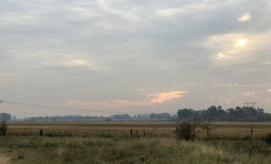Venta de Campo Agricola  Rural en Marcos Paz Limite Gral Rodriguez