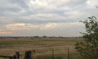 Venta de Campo Agricola  Rural en Marcos Paz Limite Gral Rodriguez