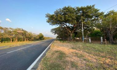 Rancho en venta 200 hectareas  Tonalá Chiapas
