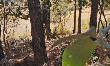 VENTA DE BONITO TERRENO EN CIENEGA LARGA , HIDALGO