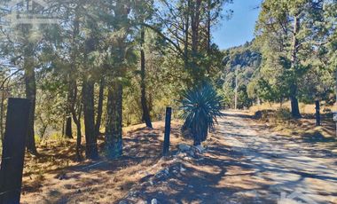 VENTA DE BONITO TERRENO EN CIENEGA LARGA , HIDALGO