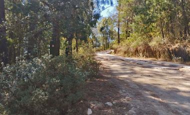 VENTA DE BONITO TERRENO EN CIENEGA LARGA , HIDALGO