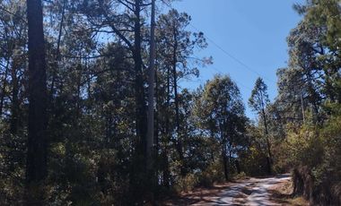 VENTA DE BONITO TERRENO EN CIENEGA LARGA , HIDALGO