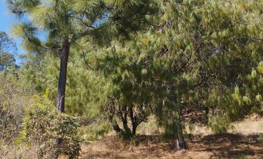 VENTA DE BONITO TERRENO EN CIENEGA LARGA , HIDALGO