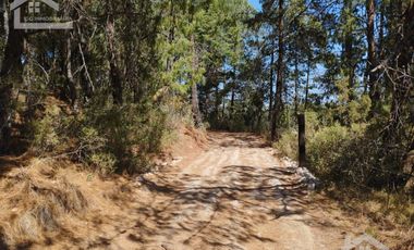 VENTA DE BONITO TERRENO EN CIENEGA LARGA , HIDALGO
