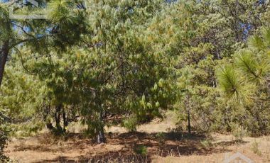 VENTA DE BONITO TERRENO EN CIENEGA LARGA , HIDALGO