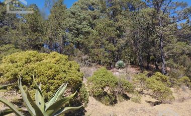 VENTA DE BONITO TERRENO EN CIENEGA LARGA , HIDALGO