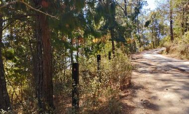 VENTA DE BONITO TERRENO EN CIENEGA LARGA , HIDALGO