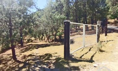 VENTA DE BONITO TERRENO EN CIENEGA LARGA , HIDALGO
