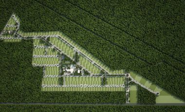 Terreno en venta  Mérida Yucatán, Puerta Xaibé Dzibilchaltún