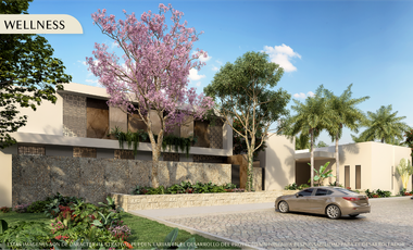 Terreno en venta  Mérida Yucatán, Puerta Xaibé Dzibilchaltún