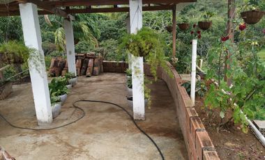 venta finca 22000 metros cuadrados arboles frutales pisicola avicola