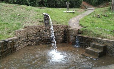 venta finca 22000 metros cuadrados arboles frutales pisicola avicola