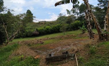 venta finca 22000 metros cuadrados arboles frutales pisicola avicola