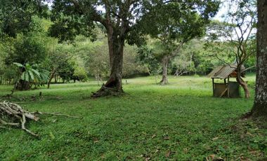venta finca 22000 metros cuadrados arboles frutales pisicola avicola