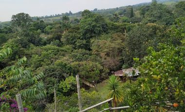 venta finca 22000 metros cuadrados arboles frutales pisicola avicola