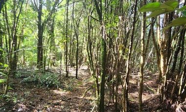 Construye la casa de tus sueños en Parcela en Venta