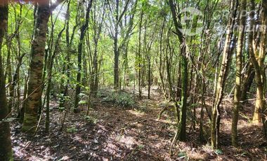 Construye la casa de tus sueños en Parcela en Venta