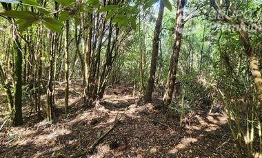 Construye la casa de tus sueños en Parcela en Venta