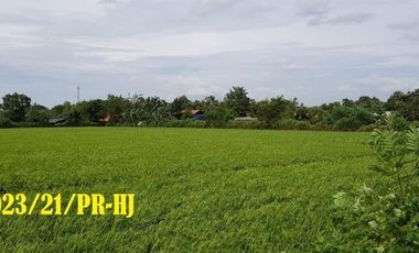 Tanah di Krawang cocok untuk Perumahan Harga Terjangkau Lokasi Strategis di Lemah Mulya Karawang P3.023/21/PR-HJ