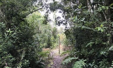 Parcela en Venta en Sector Correntoso a 200 mts de carretera